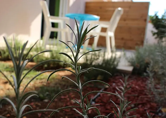 Filipovic * 메덜린